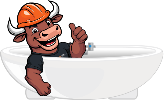 Bull Plumbing Expert